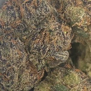 Meet your Posher, Delonte